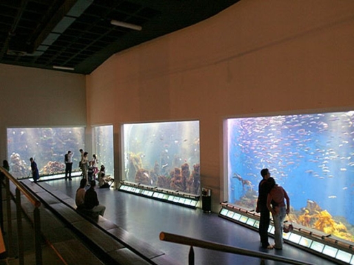 aquariumfinisterrae_spanielsko_espanolsinfronterascom.jpg